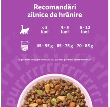 Recomandări de hrănire pisoi: sub 3 luni (45-55 grame), 4-5 luni (65-75 grame), 6-12 luni (70-85 grame). 20 grame înlocuiesc 85 grame hrană umedă.