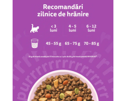 Recomandări de hrănire pisoi: sub 3 luni (45-55 grame), 4-5 luni (65-75 grame), 6-12 luni (70-85 grame). 20 grame înlocuiesc 85 grame hrană umedă.