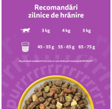Recomandări zilnice de hrănire pentru hrana uscată Whiskas în funcție de greutatea pisicii de la 3 la 5 kilograme și o imagine cu bobițe.