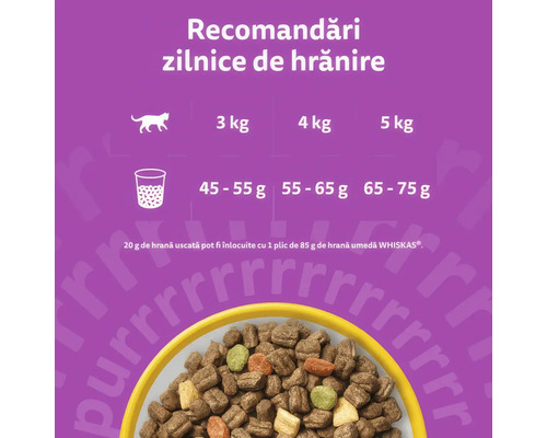 Recomandări zilnice de hrănire pentru hrana uscată Whiskas în funcție de greutatea pisicii de la 3 la 5 kilograme și o imagine cu bobițe.