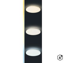 Plafoniera LED rotundă cu capac din sticlă mată pentru montare pe tavan sau perete (Image AI modified or generated)