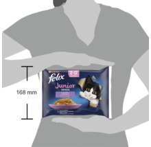 Hrana pentru pisici Purina Felix Junior la plic set de 4 cu inaltimea ambalajului de 168 milimetri
