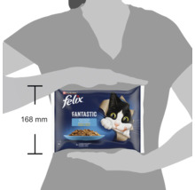 Hrană umedă pentru pisici Purina Felix Fantastic în pachet de patru, înălțime de 168 milimetri.
