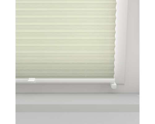 Pliseu la fereastră