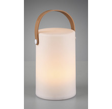 Lampă de masă luminoasă cu mâner