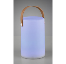 Lumină LED decorativă cu mâner