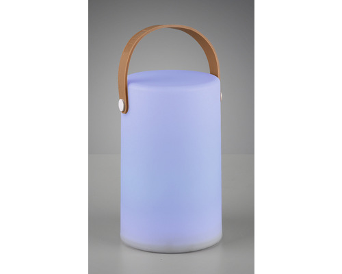 Lumină LED decorativă cu mâner