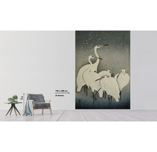 Fototapet vlies Special Decoration Cocori japonezi albi 194x280 cm