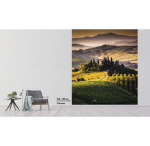 Fototapet vlies Special Decoration Toscana 2 243x280 cm