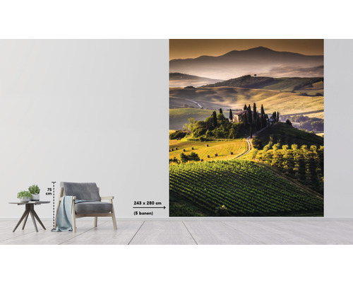 Fototapet cu peisaj toscan și fermă, dimensiune 243x280 cm