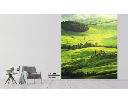 Tapetă foto cu un motiv de peisaj cu un peisaj verde, deluros, cu case, format 243 x 280 centimetri