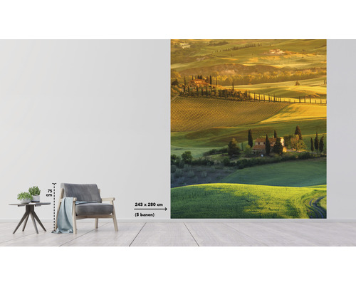 Tapetă vlies cu peisaj toscan, dimensiuni 243 x 280 centimetri