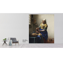 Fototapet vlies Special Decoration Milkmaid 243x280 cm