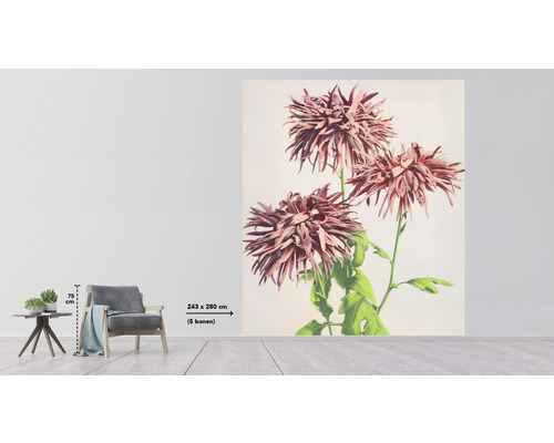 Scenă cu un fototapet cu model floral în cameră, dimensiuni 243 pe 280 de centimetri