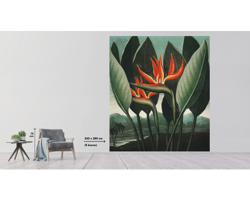 Fototapet cu motiv floral pasărea paradisului într-o cameră luminoasă