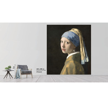 Fototapet vlies Special Decoration Vermeer Fata cu cercel de perlă 243x280 cm-thumb-2