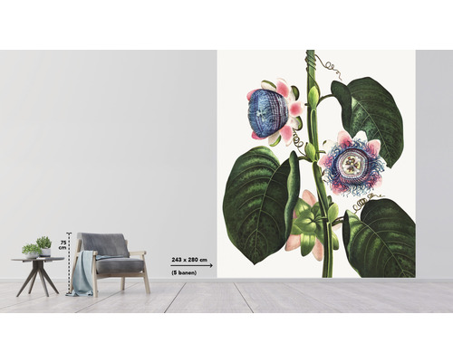 Imagine dintr-o cameră cu pictură murală cu floarea pasiunii, fotoliu și măsuță laterală