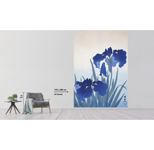 Fototapet vlies Special Decoration Iris 194x280 cm