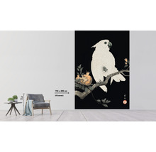 Fototapet vlies Special Decoration Cockatoo 194x280 cm