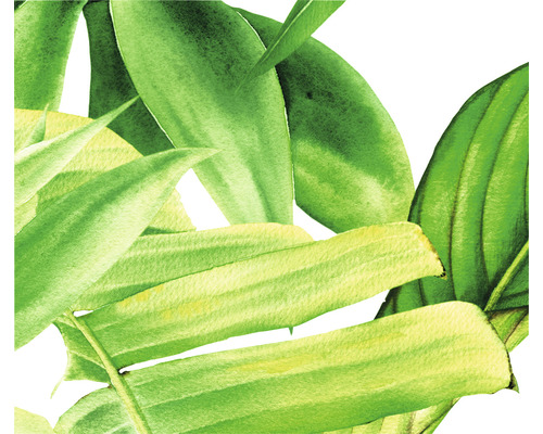 Ilustrație cu frunze verzi