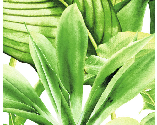 Ilustrație cu frunze verzi