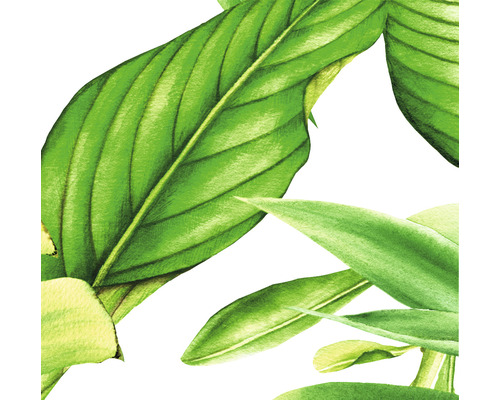 Prim-plan cu frunze verzi