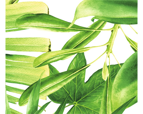 Prim-plan cu diverse frunze verzi