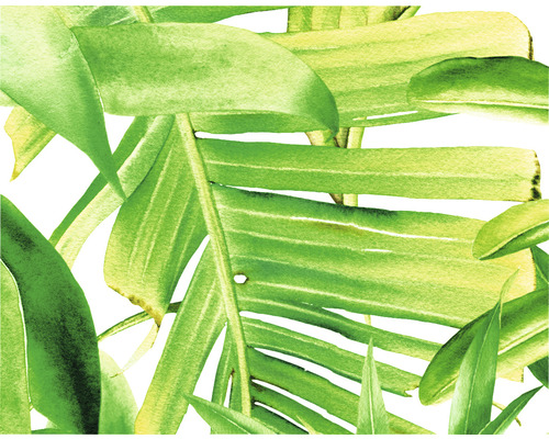 Ilustrație cu frunze tropicale