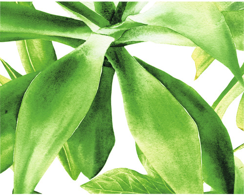 Prim-plan cu o pictură în acuarelă cu frunze de plante verzi.