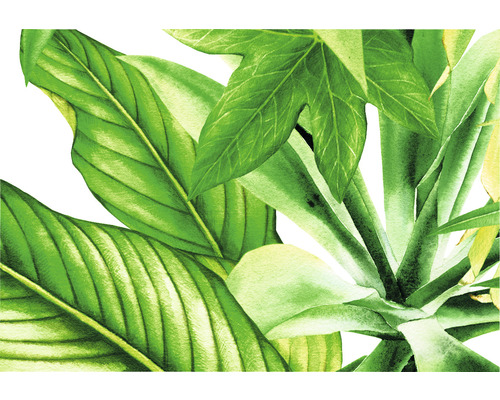 Ilustrație cu diverse frunze verzi