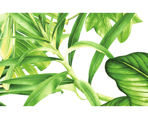 Ilustrație cu plante verzi cu frunze