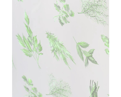 Ilustrație cu diverse ierburi