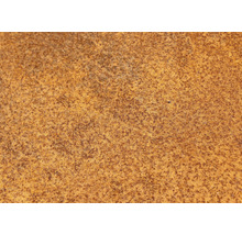 Prim-plan cu o suprafață metalică ruginită