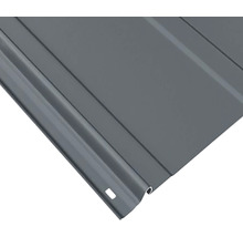 Vizualizare detaliată a unei singure plăci trapezoidale