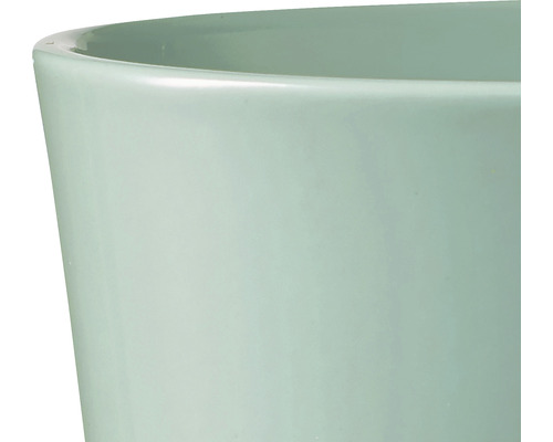 Prim-plan al unui ghiveci de flori