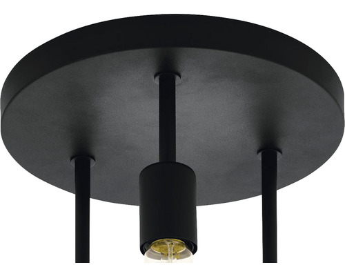 Imagine detaliată a unei lămpi de tavan negre cu bec