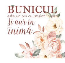 Ilustrație cu flori și textul ''Bunicul este un om cu argint în păr și aur în inimă''