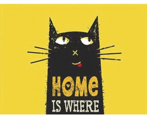 Imagine decorativă cu pisici cu inscripția: Home is where.