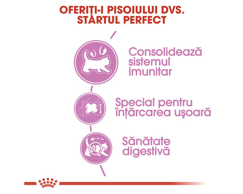 Avantaje pentru pisoi: Consolidează sistemul imunitar, facilitează înțărcarea, susține sănătatea digestivă.