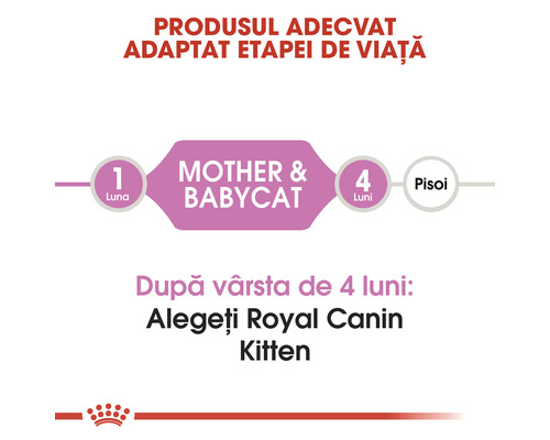 Produs adecvat adaptat etapei de viață a pisicii mamă și a puiului: După vârsta de 4 luni alegeți Royal Canin Kitten.