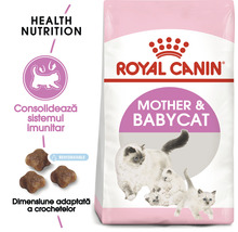 Hrană uscată pentru pisici, ROYAL CANIN Babycat 34, 2 kg-thumb-2