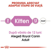 Hrană uscată pentru pisici, ROYAL CANIN Kitten 36, 2 kg-thumb-5