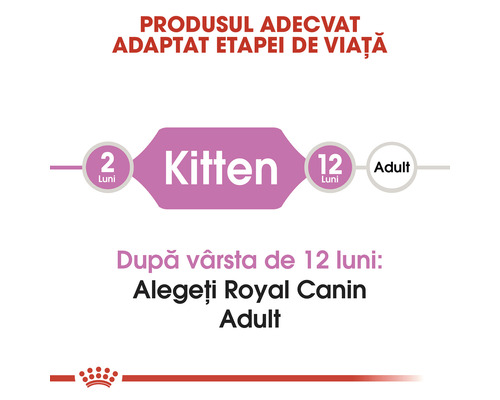 Produs adecvat adaptat etapei de viață a pisicii