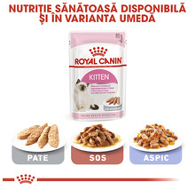 Hrană uscată pentru pisici, ROYAL CANIN Kitten 36, 2 kg-thumb-6
