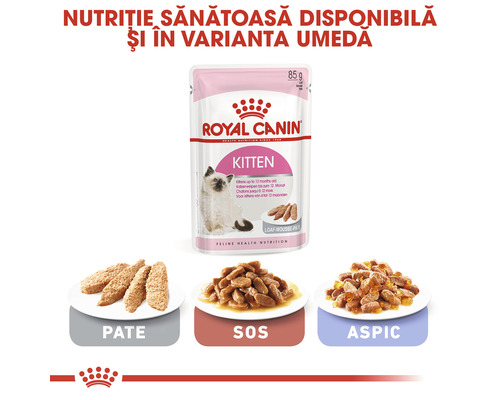 Hrană pentru pisici Royal Canin Kitten, diferite metode de preparare