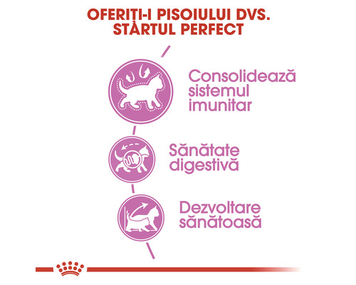 Avantajele produselor Royal Canin pentru pisici: Consolidarea sistemului imunitar, susținerea digestiei și dezvoltare sănătoasă