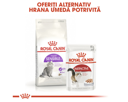 Hrană pentru pisici Royal Canin, hrană uscată și hrană umedă
