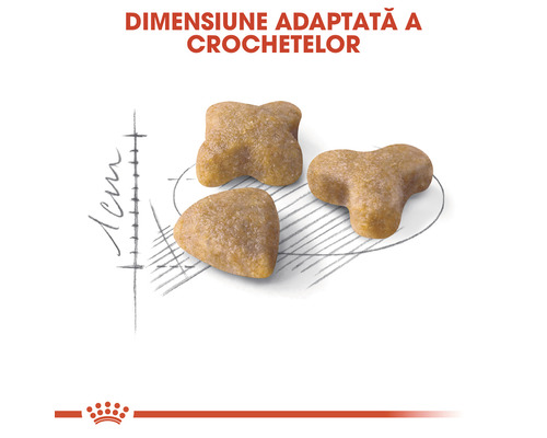 Formă adaptată de hrană uscată pentru câini