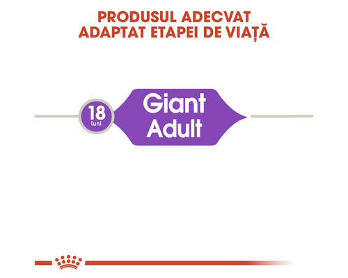 Produs adecvat adaptat etapei de viață a câinilor adulți de talie foarte mare, începând cu vârsta de 18 luni.