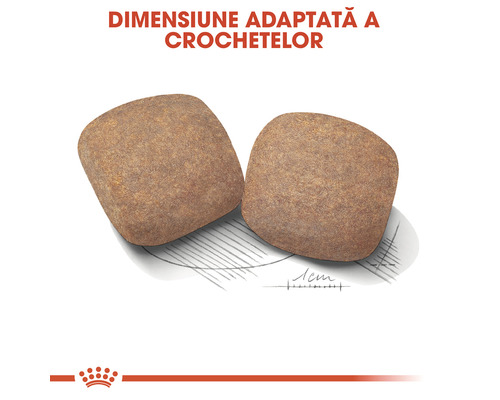 Două crochete de mâncare pentru câini